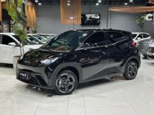 BYD foto 1