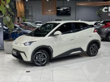 BYD foto 1